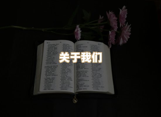 关于菊藤译文库